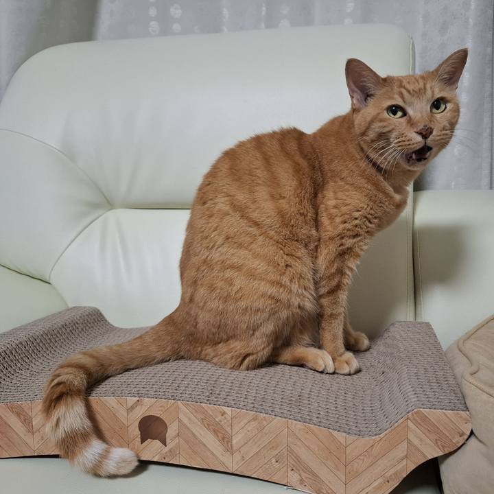 84a4fb06 5c7d 417a 86d8 0874f9e3ca28 1751937056014