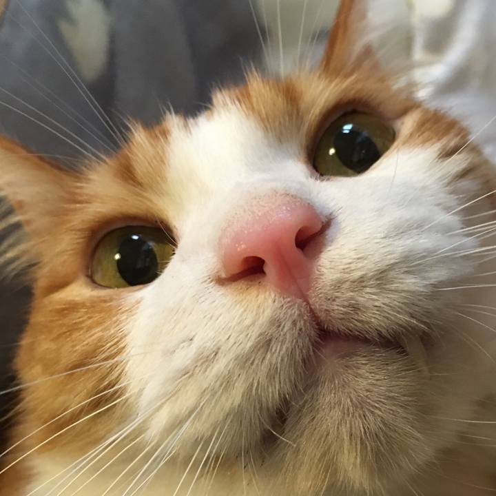 84a519e4 7ca4 4e4f 876b fd377fab39a5 1574395873060