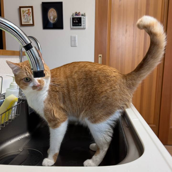 84a560be 8b5b 48a8 98bd 672bc5571a05 1762742675898