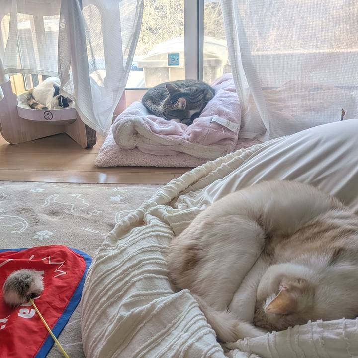 84a5df92 666b 44bb bc12 3fa31fab6387 1774074225027