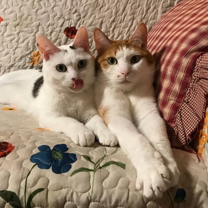 84a5ee8a 61b8 4a66 b478 fddfeac02064 1541235456204