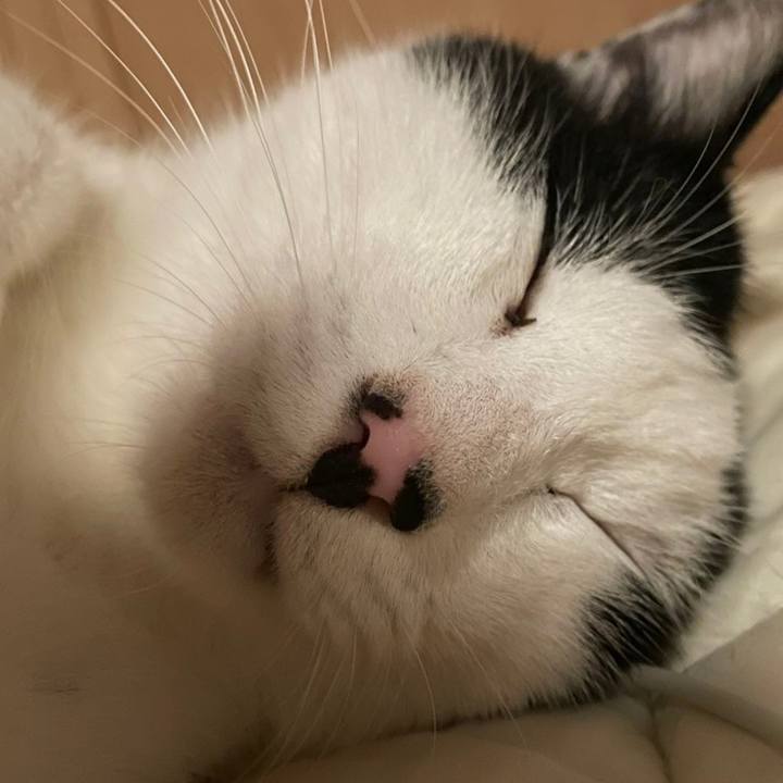 84a60ca5 b7fa 4fc6 a429 23e6469887d8 1633004399094