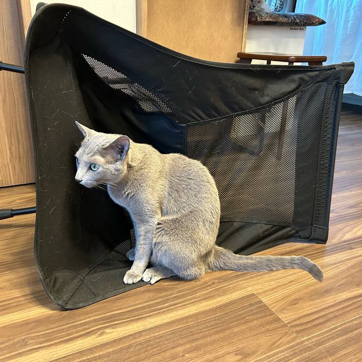 84a67a46 5678 477b a3c4 f8d4b2cc9190 1739919017665