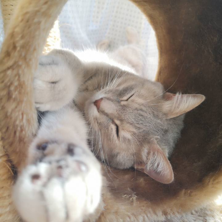 84a68ae9 4ee5 485d b8d1 93fdc3d8de58 1556870663265