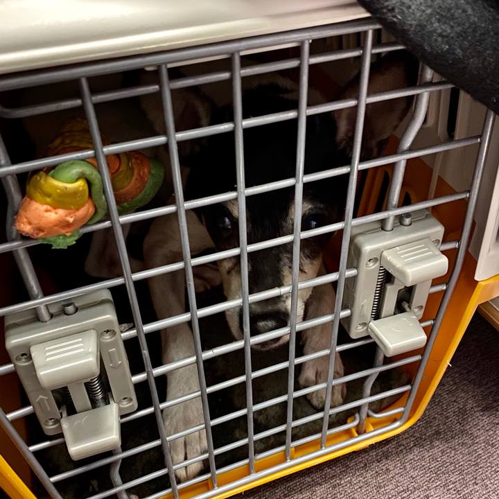 84a6a99d dc75 41eb b201 98e7151c60f2 1577509401391