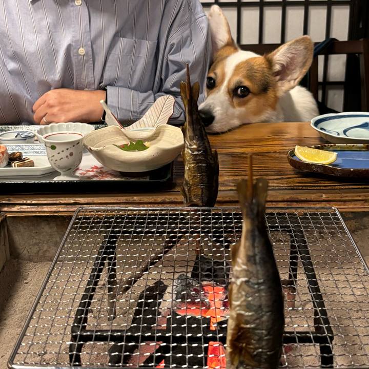 84a6cbb2 d614 4f8a a94e 8f0da7608990 1763617375867