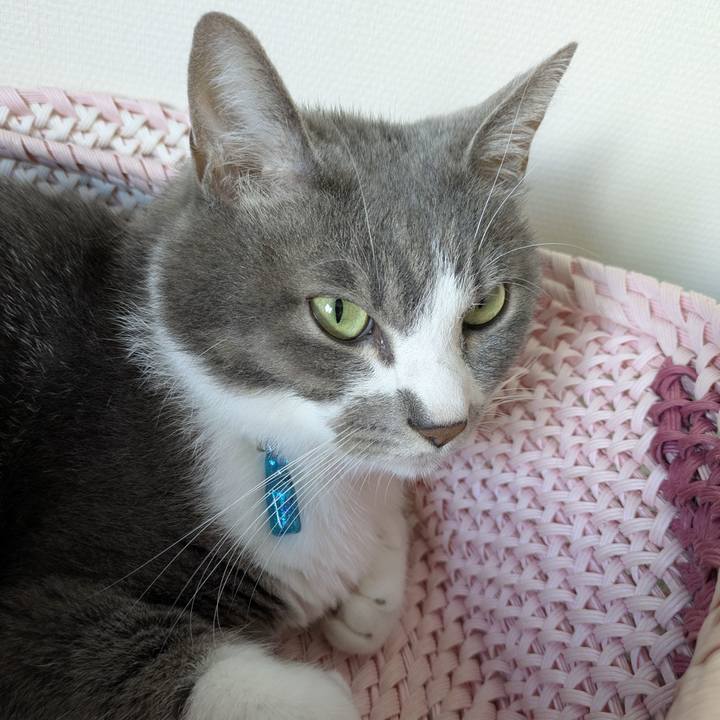 84a71367 9ff7 4d24 9cab 5eaf364f5050 1757300589852