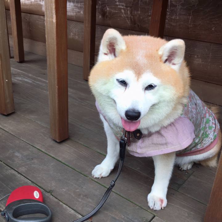 84a72ce1 6593 44a5 be0a 7774be3393a3 1590573470966