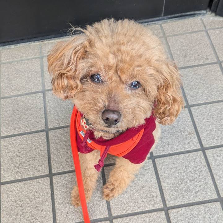 84a7352a fd0f 453c 95af 91c806396470 1768432735865