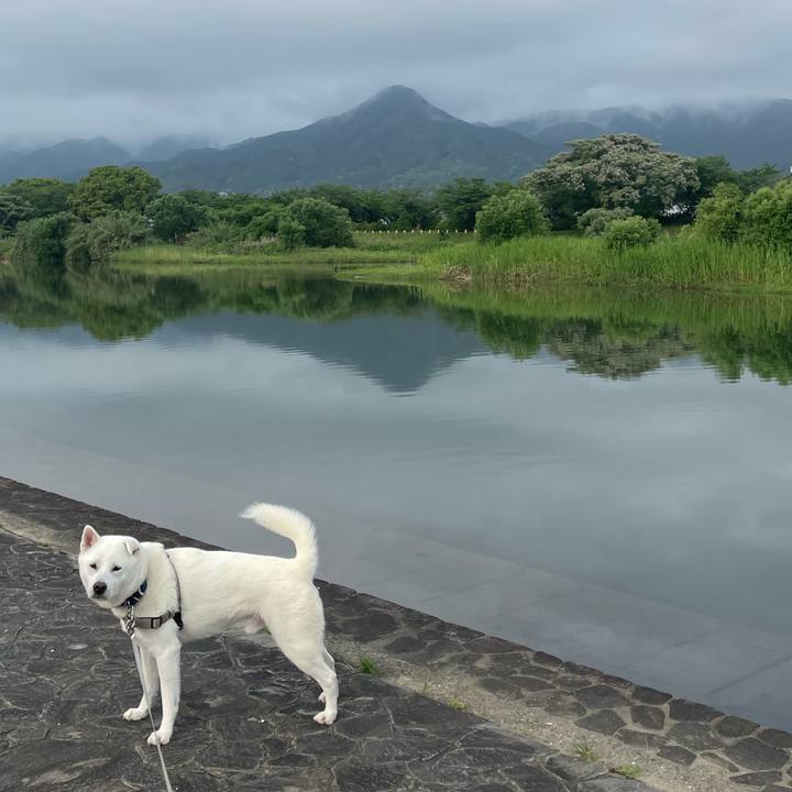 84a78b6c f7dd 48a3 81ab 40f0102b2f49 1747959308171