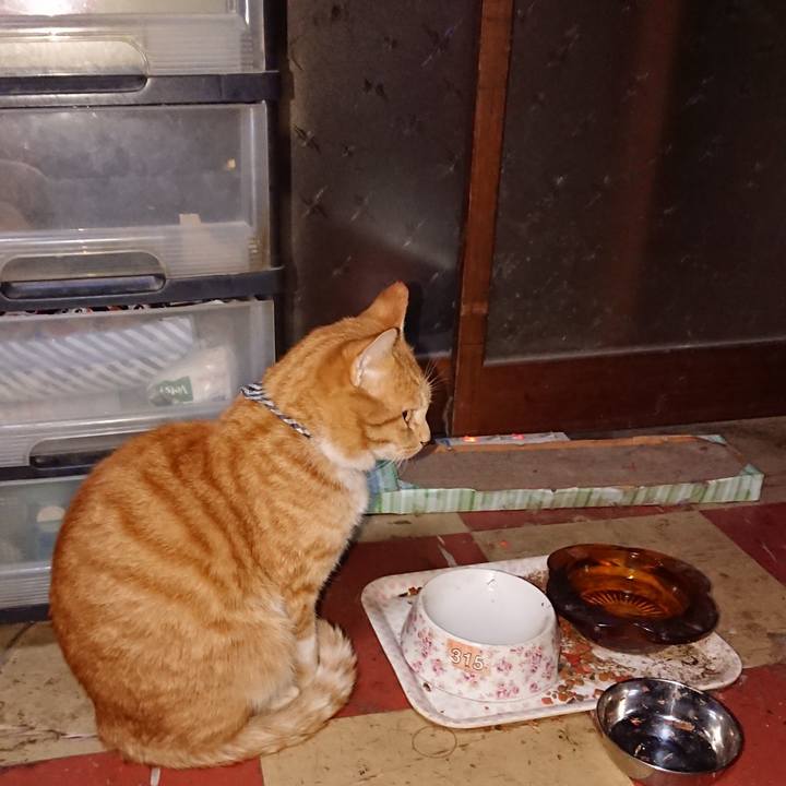 84a79498 267f 4b17 8f83 309299fa428a 1571342193202