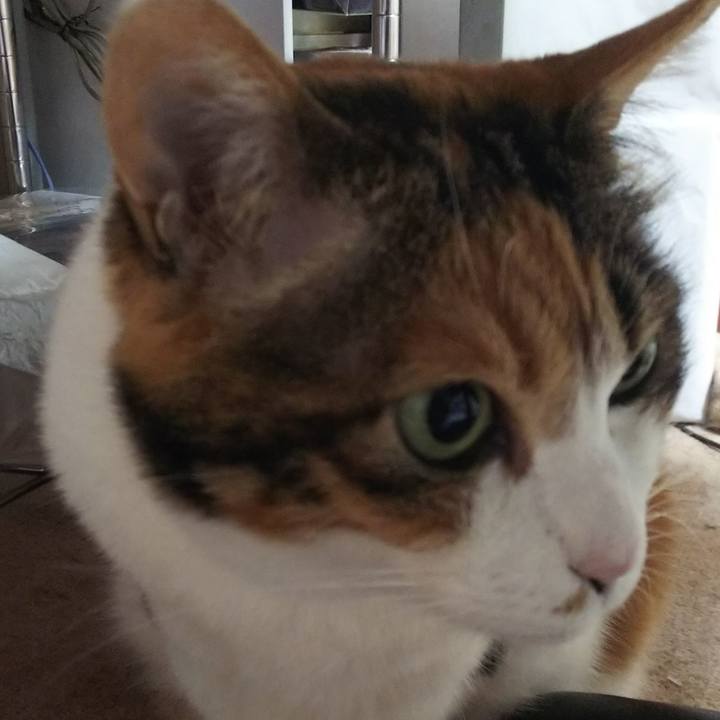 84a7af45 ae75 4412 85ac fc907e6ff8d5 1558302575176