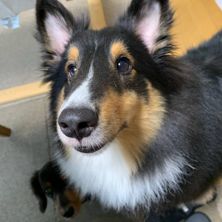 84a808bb ca4f 41a2 bc07 9a27d16513a7 1601416626696