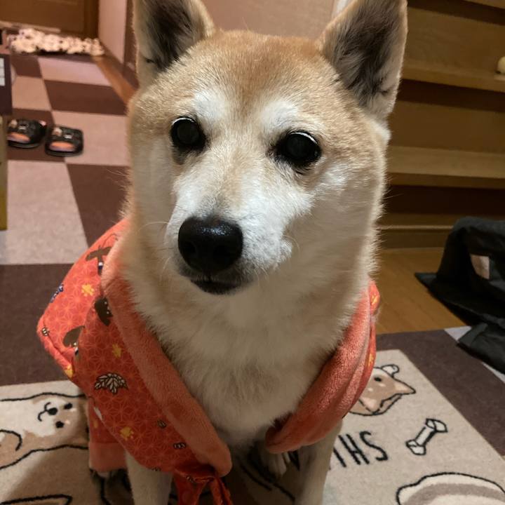 84a819e1 2271 4d6e 9439 0f20d3d43b95 1612959058458