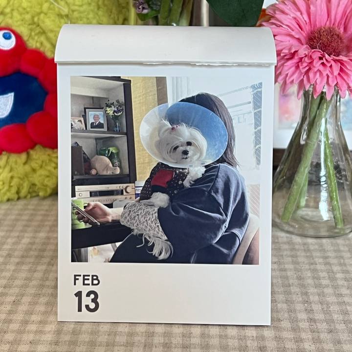 84a8227f 0314 4249 b272 8b2cbca863e4 1770957143571