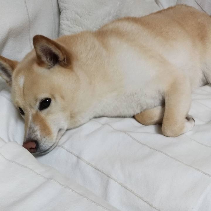 84a82b53 1e4a 4170 8d5e ea4a87f5801c 1590060840981