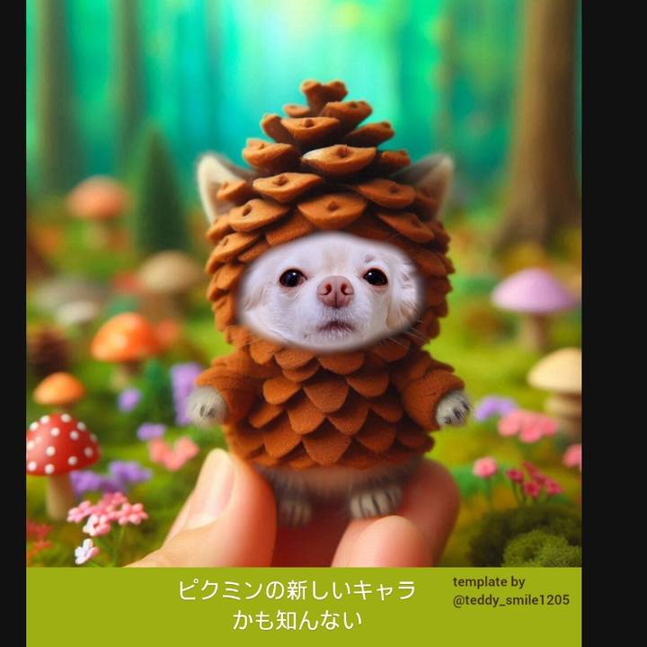 84a8575b 6177 44a9 b8a6 d5c11089f378 1729857604061