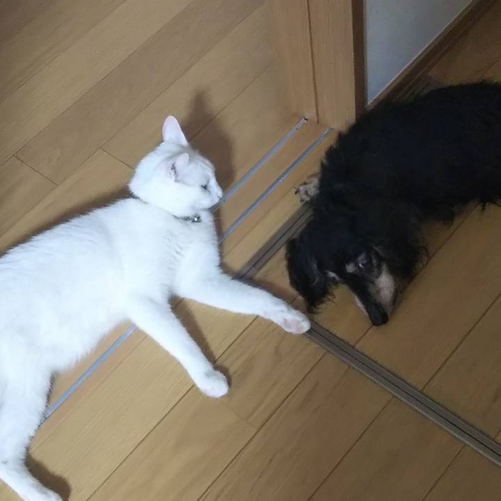 84a86893 5228 4073 ae11 60074459d2a5 1626559559677