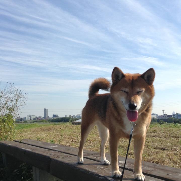 84a87880 1076 4e04 b62f ab6a336a4370 1509671415281