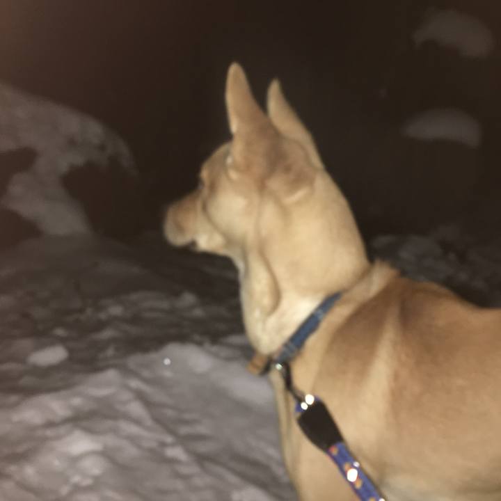 84a87b19 fdbd 4d9b 9d13 f2e294358aec 1517144601437