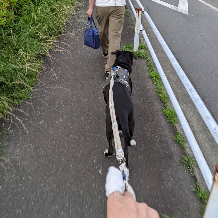 84a8fe1e e2b2 4b31 85a8 06917bbb13dd 1654772559370