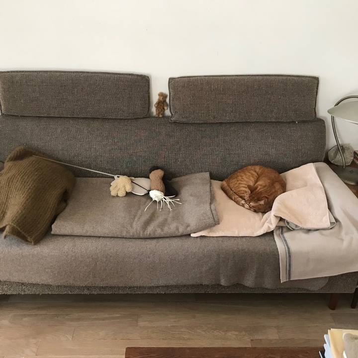 84a917ab 410f 43fb a9f8 9e50817cf601 1514187998138