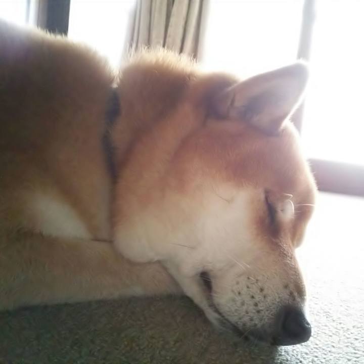 84a92bcd c8f3 4122 89d6 b4e335fc027f 1526456358025