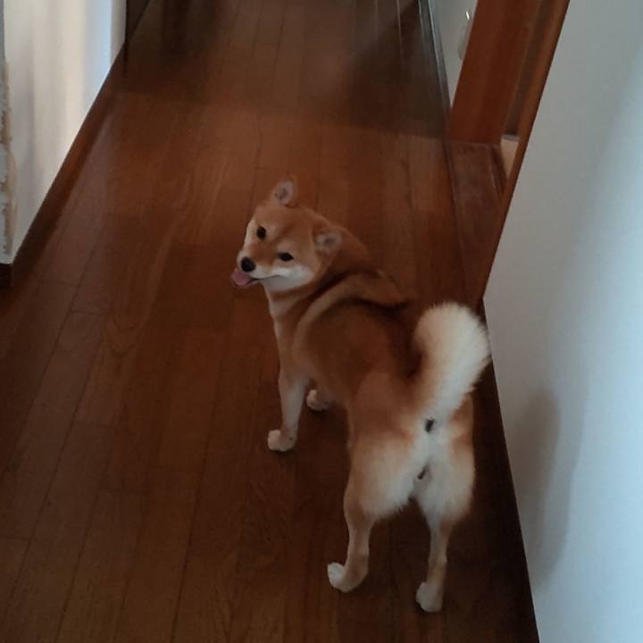 84a955c0 054c 43e9 99e5 5fe87a1d3800 1658481976868