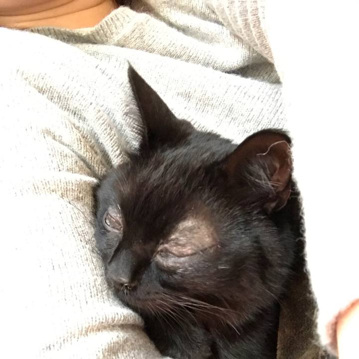 84a96556 e889 4705 9918 f48146c793cb 1517291638918