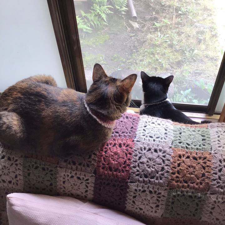 84a970f8 2548 4844 ae11 26480785b23b 1655598880518