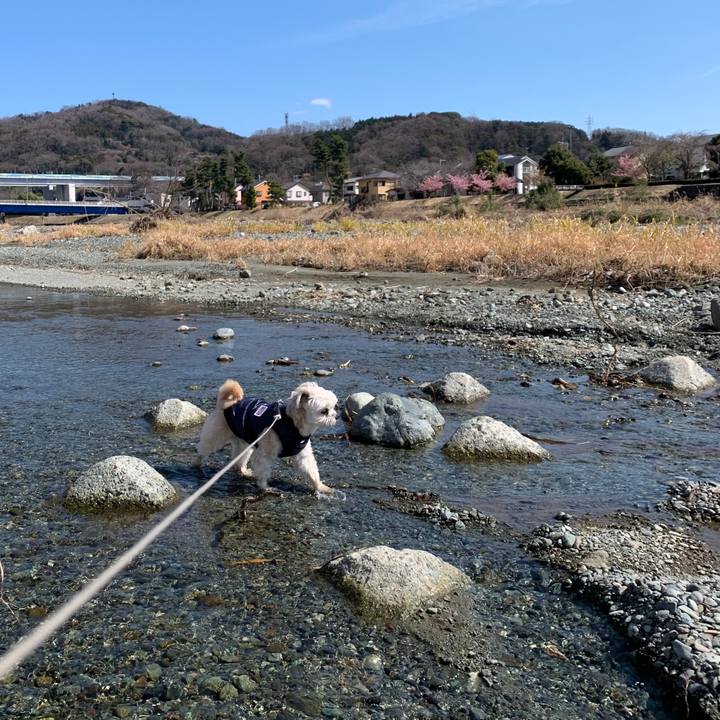 84a972ed 6c15 42f1 a917 86061f571ff8 1582888953403