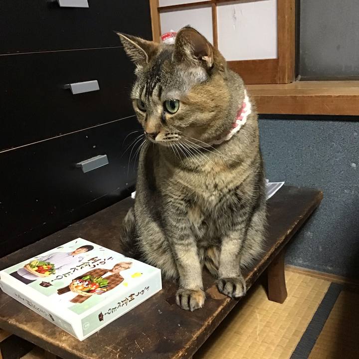 84a974b7 1d46 4ba4 86bf 5dceb63e45f4 1711445415467