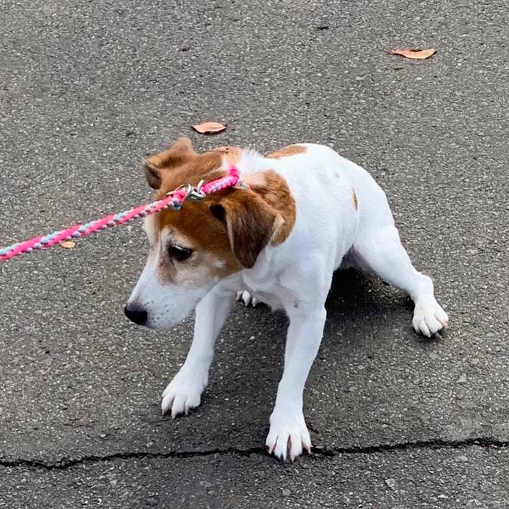 84a98d25 bd72 4f0f b972 607d2265743e 1541856309274