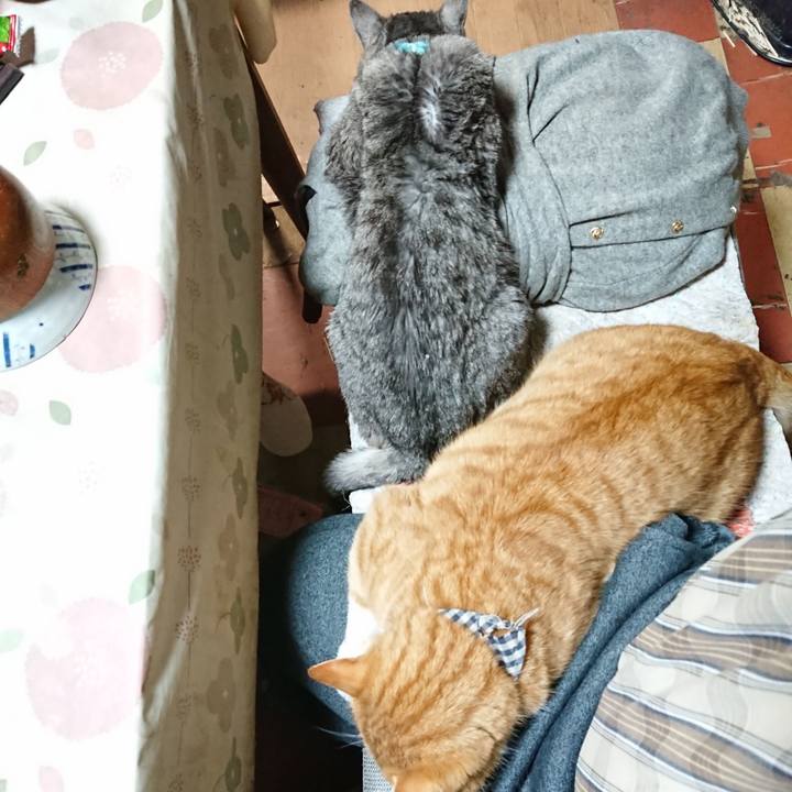 84a992f7 dad5 4144 a602 234d9f56f1bd 1575456202004