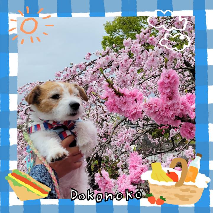 84a9a912 41a8 4b73 be8c 213a37406c14 1744515835511