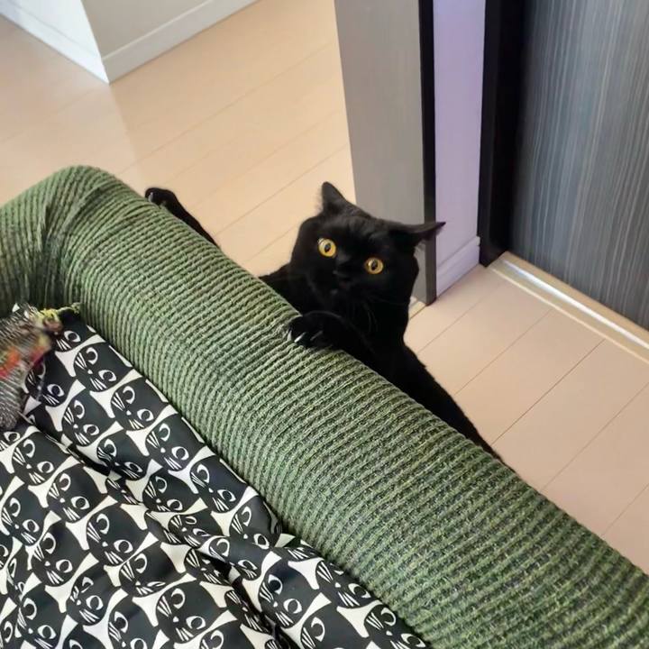 84a9e241 f1bf 4136 bec5 f771a0a3d1a4 1632094896457