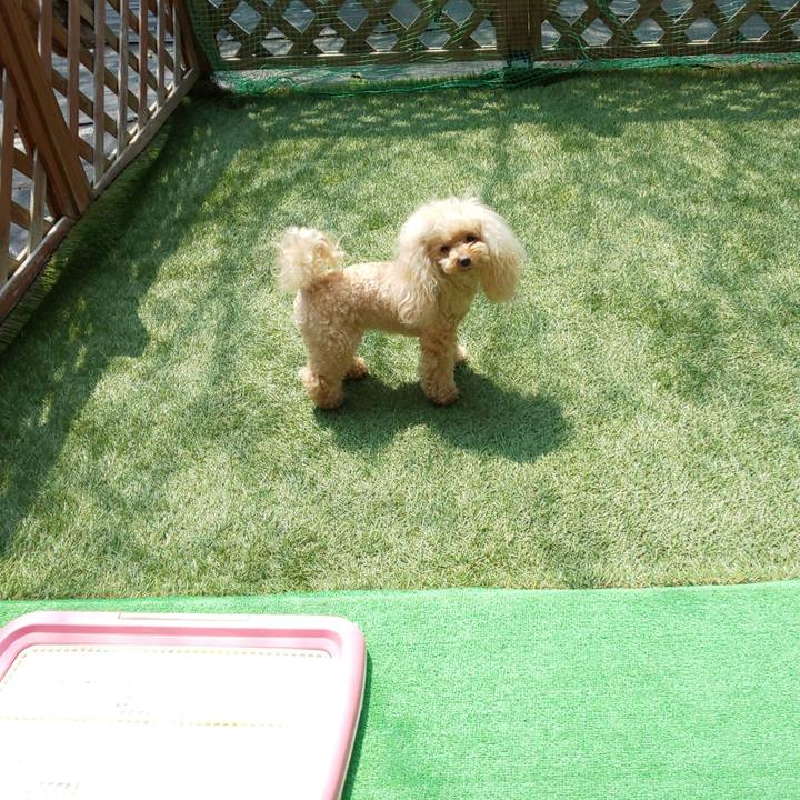 84aa441f e0ce 4371 84d2 ae20e4c381a6 1589330472445