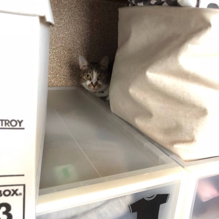 84aa66cd 4833 4ad6 8f60 5060769589ad 1539332839957