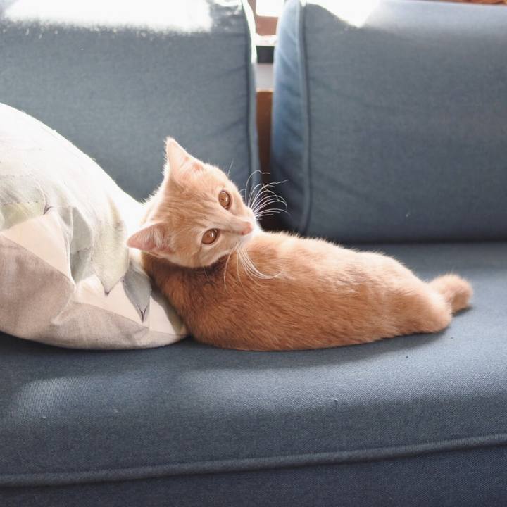 84aab527 82c7 4d65 aeb3 2e7e14ed7fe4 1550293286091