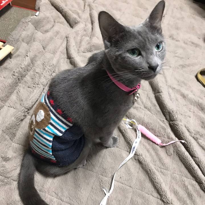 84aab991 75ae 4599 ab48 d810af1c3c13 1554100032959