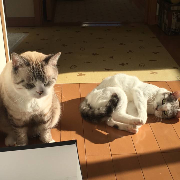 84aac7cc aa75 4924 ab1d ec2db24869e5 1545697971559