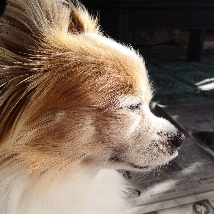 84aadccc 705e 404f a2d6 3d000d4e6e5a 1545955582147