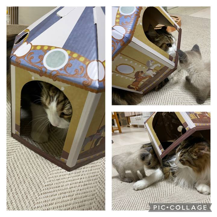 84aaf285 a1b6 4374 a9fd 9f4cdc307da2 1686829997680