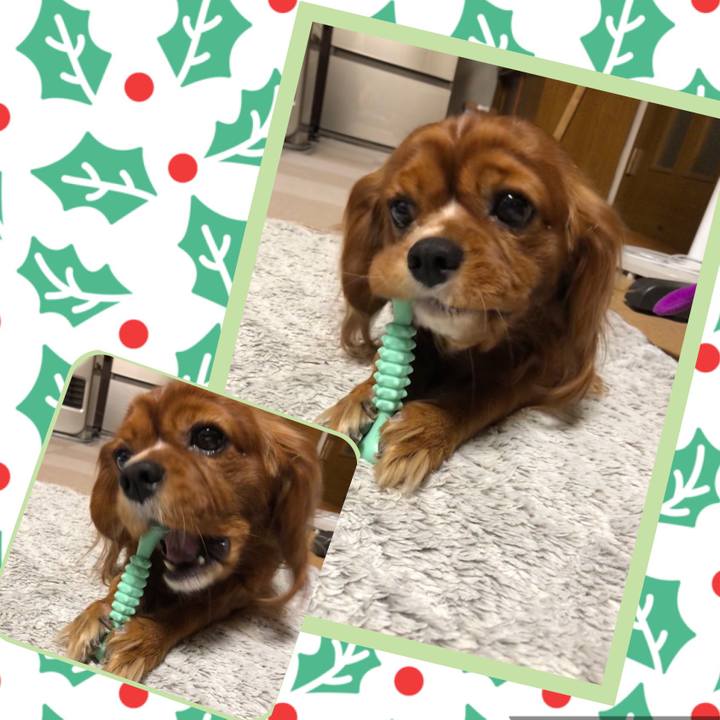 84ab1e4f f504 4cf7 976b 4e7942cf9855 1575191988137