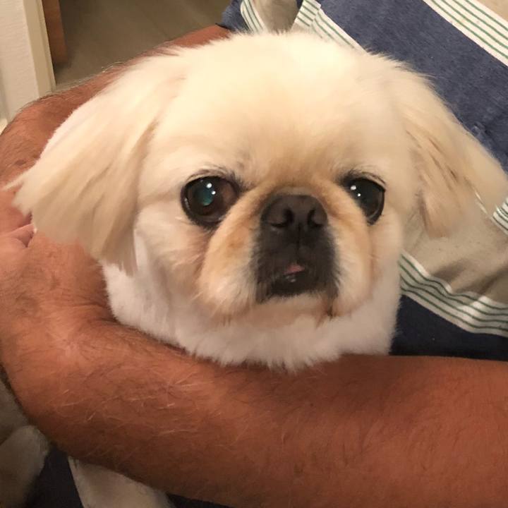 84ab3c75 c7e4 4e32 9c94 a4d038b2d4b1 1536323366194