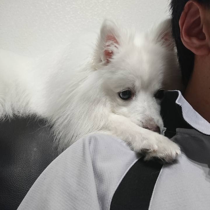 84ab6a9f 56c3 4038 809b 53f54fa68560 1592202442350