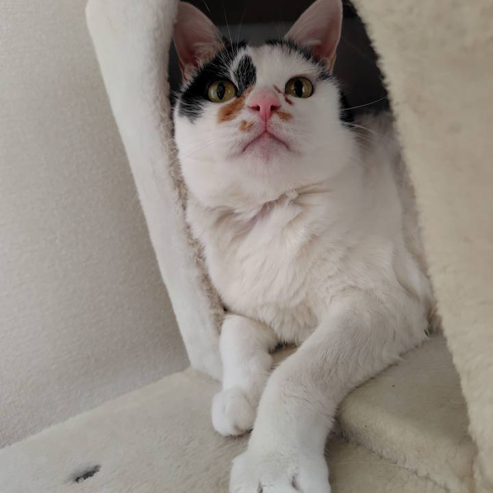 84ab8629 7cd3 42cd 907b 9c623957e05f 1716386411189