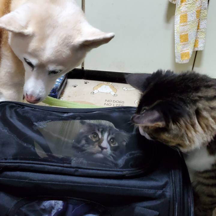 84ab8cb4 5f0f 4282 b6e2 3316368ddf02 1662516471722