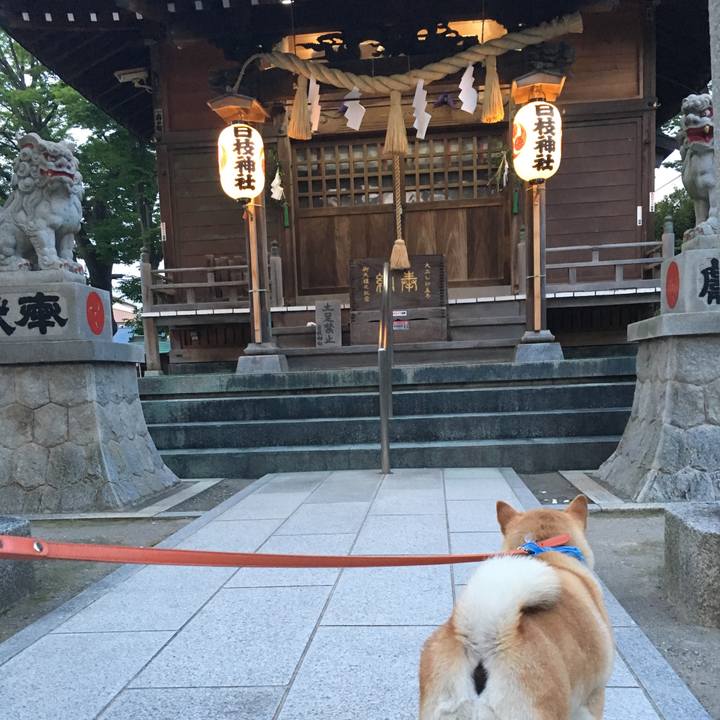 84ab95cb 9c35 4351 a7fc 41301634cc27 1561112702480