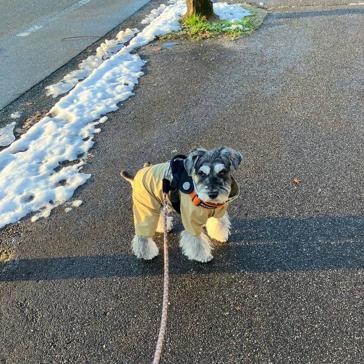 84abb956 49ff 4bd5 b48a f38c35facc61 1735537230305